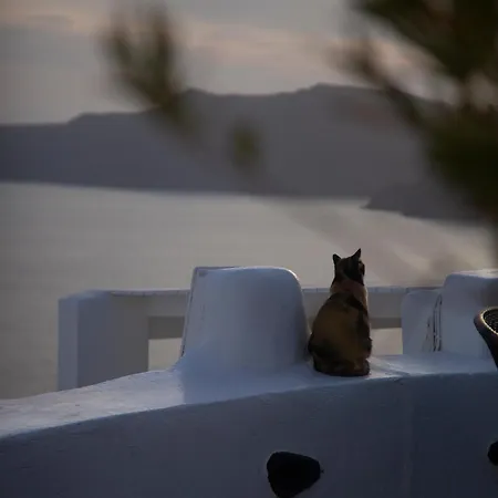 Alexander's Oia